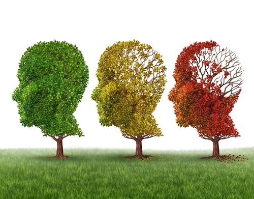 What's the diffrence between Dementia and Alzheimer's